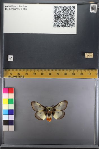Media type: image;   Entomology 754612